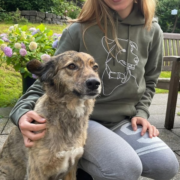 Sudadera con capucha bordada en color caqui con un perro real junto a la sudadera, publicación de @miroar_de